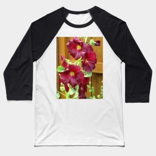 Dark red hollyhocks Baseball T-Shirt